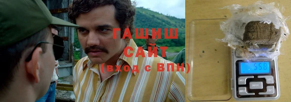 спиды Каменка