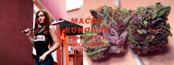 спиды Каменка