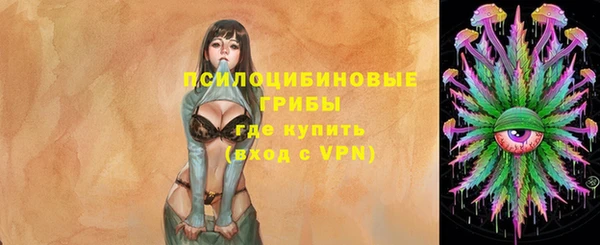 мдпв Фёдоровский