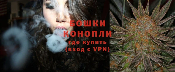 мдпв Касимов