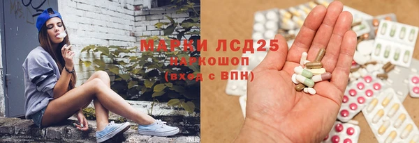 спиды Каменка