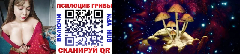 Купить где  Бронницы  Галлюциногенные грибы Psilocybine cubensis 