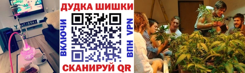Канабис ГИДРОПОН  Купить где  Бронницы 
